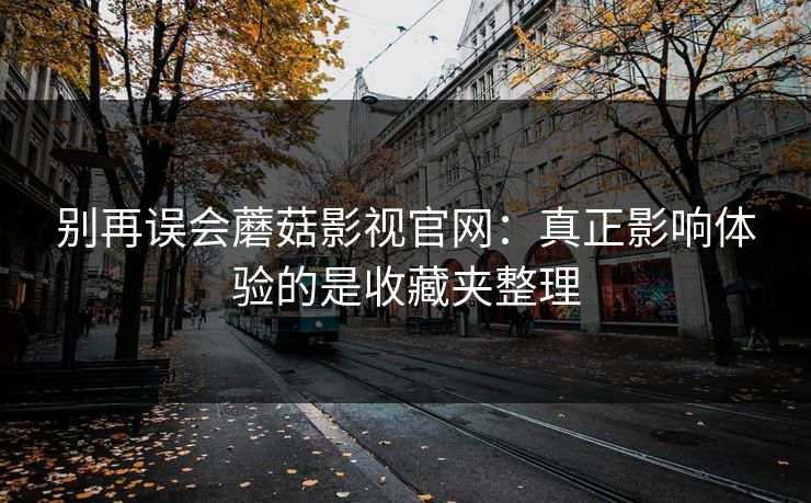 别再误会蘑菇影视官网：真正影响体验的是收藏夹整理